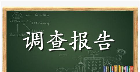 2023年关于初中语文教学情况调查报告