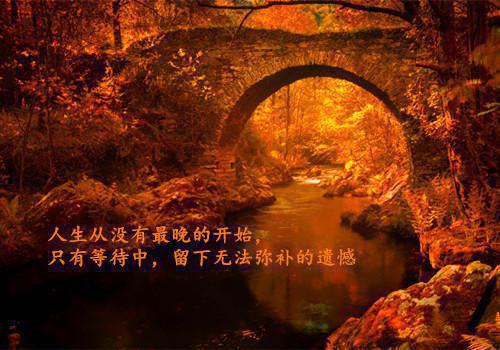 乔喜商凛乔雪眠：言情作品最新推荐乔喜商凛乔雪眠