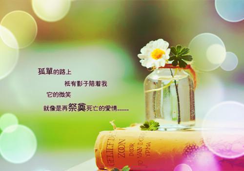 最新章节开局SSS时间鬼，管这叫新人？（王权）_开局SSS时间鬼，管这叫新人？王权最新章节