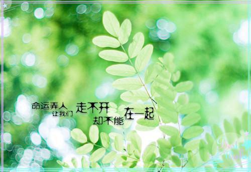 (番外)+(全文)妹妹绝不吃肉，先天不胖圣体txt下载阅读_(彤彤)妹妹绝不吃肉，先天不胖圣体最新章节列表_笔趣阁（彤彤）
