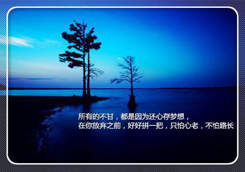 爱于燃尽新生创作编写（顾云霄孟卿月）全章在线无广告高口碑小说