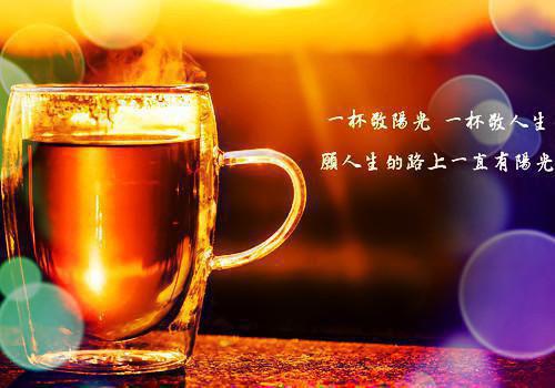 全本重生改嫁太子爷，前夫全家崩溃了（姜稚周胤）最新章节列表_全本重生改嫁太子爷，前夫全家崩溃了全文阅读