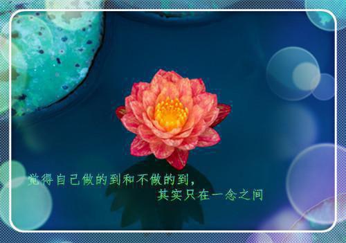 义诊现场我被患者家属打成小三全文清爽版在线+无广告结局（沈清月许倩张远衡）