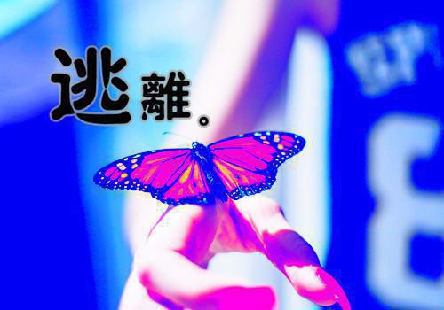 顾奕白的小说忆君不见泪沾襟：谭知韵顾奕白全文在线阅读