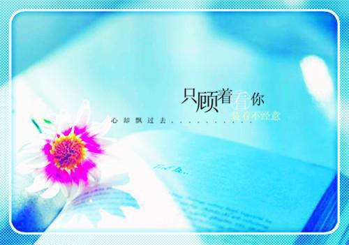 何如不相逢+完本+结局（宁沐欢）最新章节_何如不相逢+完本+结局全文阅读