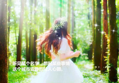 我给别人收尸那些年最新章节列表_我给别人收尸那些年全文免费阅读(张三坟赵非)
