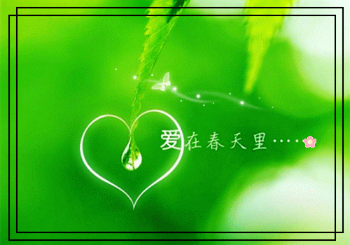 孤灯照影不成眠（萧聿城赵婉宁）最新章节_孤灯照影不成眠全文阅读