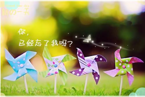 盛景太匆匆：+番外+后续优质全章宁若曦沈砚舟推荐完本_已完结盛景太匆匆：+番外+后续优质全章（宁若曦沈砚舟）