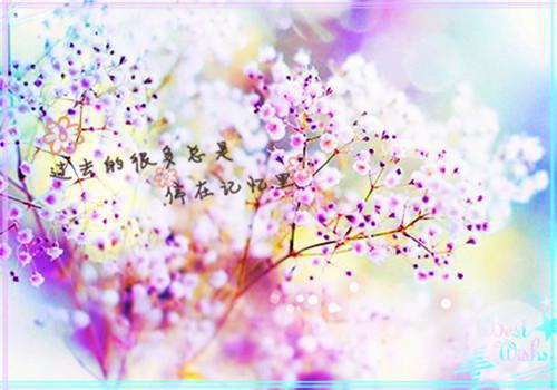 （宋文浩,叶清清）天骄红途在线阅读最近更新