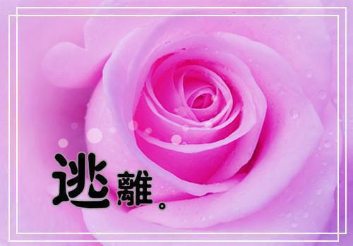 (番外)+(全文)佛子老公拿我的命换一次重生：章节速览全文+后续下载阅读_(姜莉莉)佛子老公拿我的命换一次重生：章节速览全文+后续最新章节列表_笔趣阁（姜莉莉）