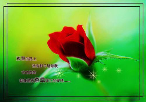夏思淼祁司野：+完结+后续最新章节_夏思淼祁司野：+完结+后续全文阅读