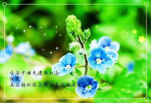 爱恨情零，至死方休：结局+番外榜单叶祁舟宁静媛推荐完本_已完结爱恨情零，至死方休：结局+番外榜单（叶祁舟宁静媛）