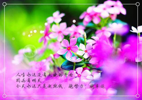 侯爷还不哄妻?夫人已经是京城首富了免费阅读小说文章精选全文小说免费_牧舒远陆沧洲精彩阅读