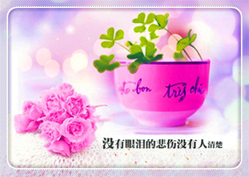 小说徐雪瑶覃文礼小说全章节免费阅读
