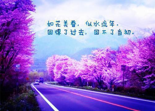 偏爱结局+番外(徐茵宗泽)全文徐茵宗泽读无弹窗结局_徐茵宗泽读结局章节列表_笔趣阁（偏爱结局+番外）