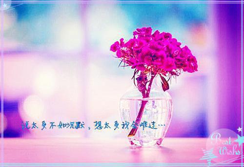 偏我情深一往沈卿卿陆斐年小说 偏我情深一往沈卿卿陆斐年免费阅读