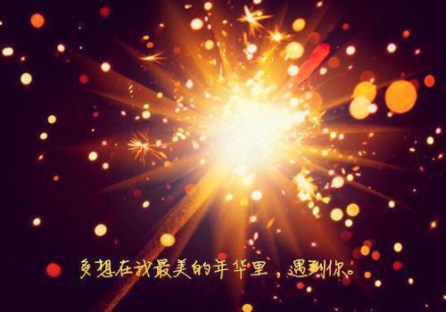 折寒枝簪起霜思：后续完整大结局（沈棠眠宋闻璟）终章阅读无广告