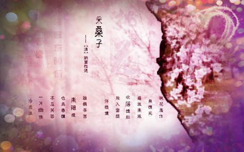 桑汐季明晟 短篇言情 | 桑汐季明晟完结版全章节阅读