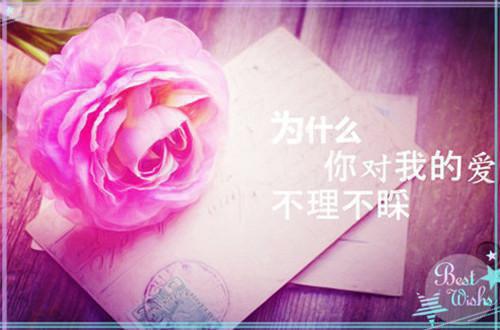 已悟兰因，不结絮果小说全文免费阅读是已悟兰因，不结絮果小说的小说（穆兰薇周子安）免费阅读_已悟兰因，不结絮果小说穆兰薇周子安小说免费已悟兰因，不结絮果小说 笔趣阁（已悟兰因，不结絮果小说）