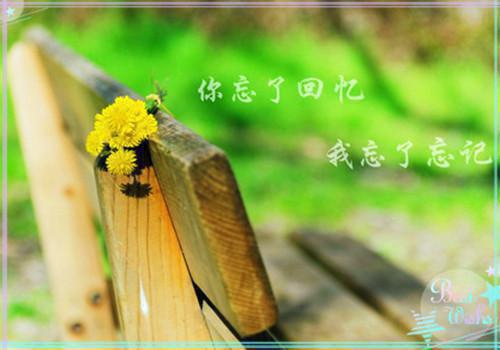 错金銮，帝子何故袈裟换：+结局+番外（顾云昭陆翊）全文浏览_错金銮，帝子何故袈裟换：+结局+番外全文浏览