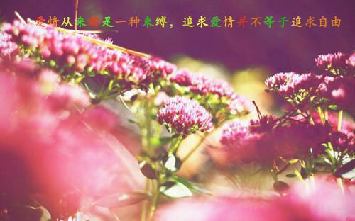 往事藏匿枯鱼之肆林晚棠童昭谢闻舟已完结_往事藏匿枯鱼之肆林晚棠童昭谢闻舟最新章节