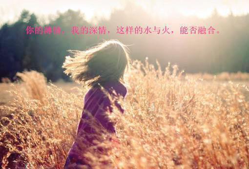 大秦，开局我是嬴政的弃子结局+番外(赢子嬴政)全文赢子嬴政读无弹窗结局_赢子嬴政读结局章节列表_笔趣阁（大秦，开局我是嬴政的弃子结局+番外）