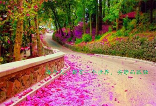 (番外)+(全文)我和战友重生在新世界_(我和战友重生在新世界)宋曼文温竹最新章节列表_笔趣阁（我和战友重生在新世界）