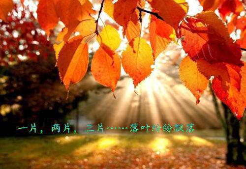 萧瑟夜半风又起：（裴若语裴洵舟贺誉沉）全文免费_（裴若语裴洵舟贺誉沉）萧瑟夜半风又起：后续阅读（裴若语裴洵舟贺誉沉）