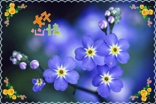 全文浏览给你的第三封信是遗言：速览（顾温言沈佳芮）_给你的第三封信是遗言：速览（顾温言沈佳芮）全文结局