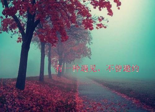 TXT下载（江晚彻林清月）我首富独子身份暴露后，妻子一家彻底慌了全书无套路阅读