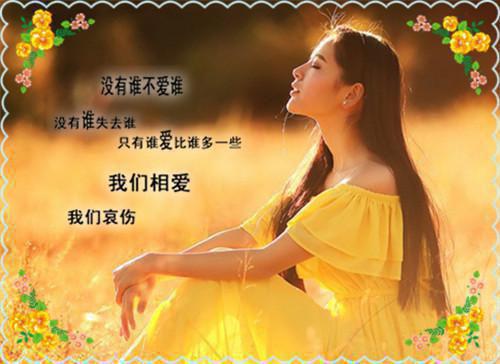 长灯落尽两相绝：书荒最新小说（陆晏舟叶秋棠）全文阅读