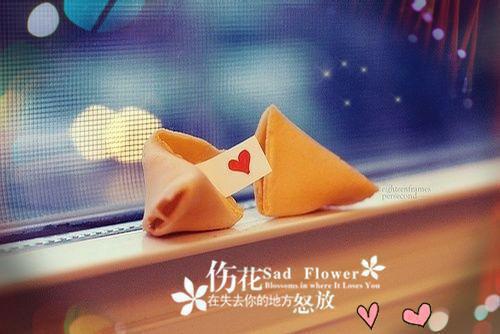 贺方竹沈南音（又名：君心如竹，此生荒芜）小说 贺方竹沈南音（又名：君心如竹，此生荒芜）免费阅读