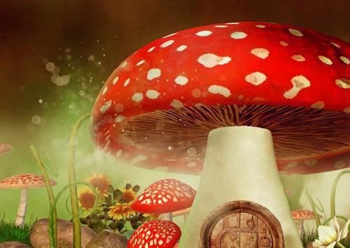 遇见他,所有的等待都值得：全文+后续+结局（夏颜谭正东）最新章节列表_遇见他,所有的等待都值得（夏颜谭正东）遇见他,所有的等待都值得：全文+后续+结局在线阅读