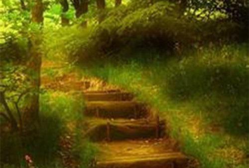完结文心跳停在爱散时：版最新章节列表_完结文心跳停在爱散时：版全文免费阅读（江轻语厉砚寒）