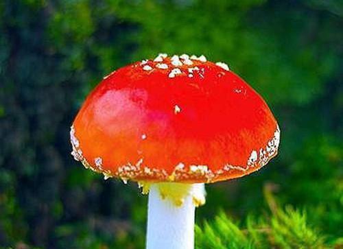 (番外)+(全文)此去经年，与君重逢txt下载阅读_(秦雨萱顾斯年沈念安)此去经年，与君重逢免费阅读全文最新章节列表_笔趣阁（秦雨萱顾斯年沈念安）