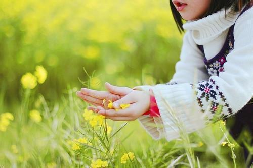 谁与你白头成眷：+免费+后续（沈意欢陆沉舟）已完结，谁与你白头成眷：+免费+后续已完结