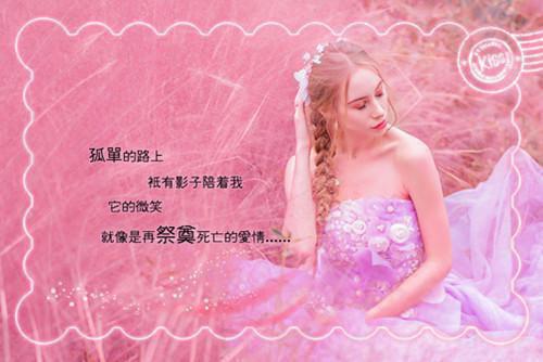 愿你看尽长安花：全文小说宋清沅孟贺初小说在线阅读