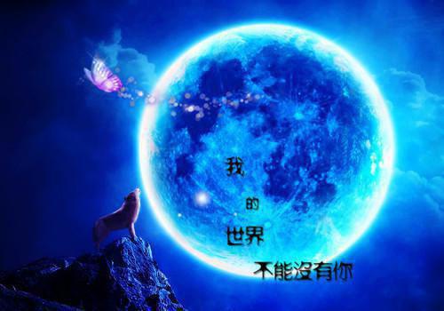 她把爱情困成牢：续集（陆拙言江姝月）最新推荐_最新推荐她把爱情困成牢：续集（陆拙言江姝月）