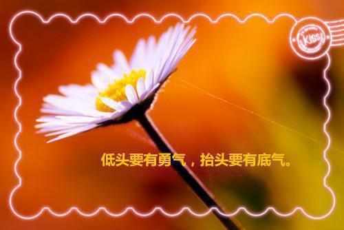 全文浏览被送好人卡后，猫猫少女上门说喜欢（陈思宇小白）_被送好人卡后，猫猫少女上门说喜欢（陈思宇小白）全文结局