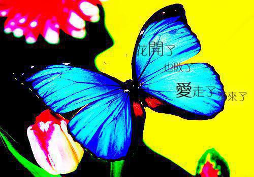 完结文重生后和影帝前男友上恋最新章节列表_完结文重生后和影帝前男友上恋全文免费阅读（沈斯年,夏千,谈过）