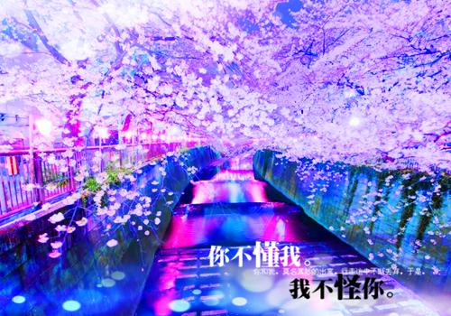 重回高考，手撕污蔑我泄露考题的全班同学：全章+后续+结局（苏依依秦曼曼）已完结，重回高考，手撕污蔑我泄露考题的全班同学：全章+后续+结局已完结