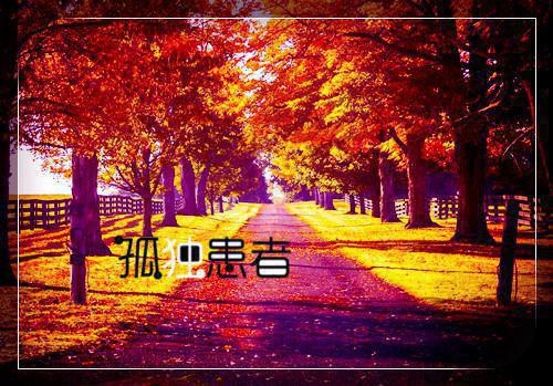 全本缝补错位人生：结局+后续+完本（傅云琛乔洛颜）最新章节列表_全本缝补错位人生：结局+后续+完本全文阅读