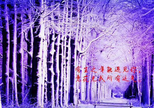 不属于海的风：+后续唐栖雾靳沉野孟之瑶推荐完本_已完结不属于海的风：+后续（唐栖雾靳沉野孟之瑶）