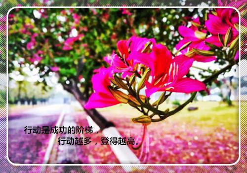***往事，***来日（江雨如周既白）最新推荐_最新推荐***往事，***来日（江雨如周既白）