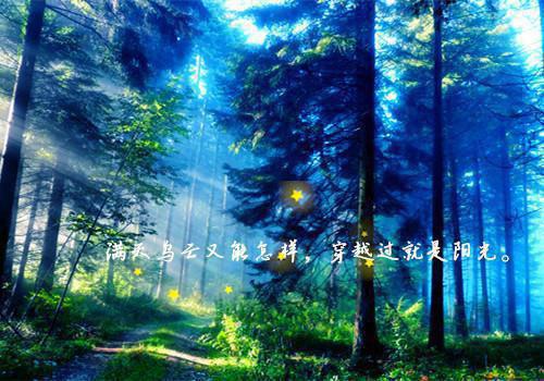 离婚后，绝美老婆哭晕了宝藏文（叶尘林含雪）最新推荐_最新推荐离婚后，绝美老婆哭晕了宝藏文（叶尘林含雪）