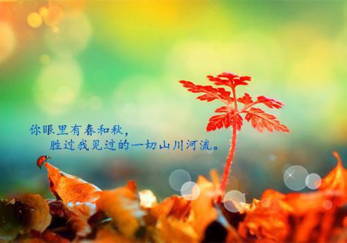 丈夫牺牲后我开始啃小卫天下,卫小家,卓乐推荐完本_已完结丈夫牺牲后我开始啃小（卫天下,卫小家,卓乐）
