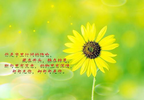 最新章节长叹雁归难留：+结局+番外（顾裴延江照璃）_长叹雁归难留：+结局+番外顾裴延江照璃最新章节