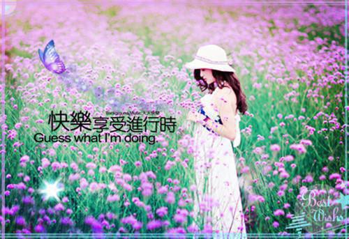 （叶知薇晏临渊）犹若清风梦了云：后续全文在线阅读最近更新
