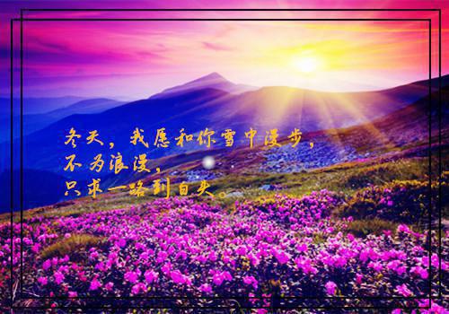 最新章节那片热恋葬深冬：完结（乔知惜傅墨执）_那片热恋葬深冬：完结乔知惜傅墨执最新章节