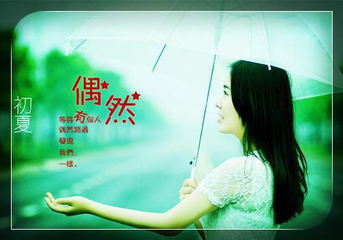完结文朝云绚丽一瞬谢：+结局+番外最新章节列表_完结文朝云绚丽一瞬谢：+结局+番外全文免费阅读（宋初吟谢青临）